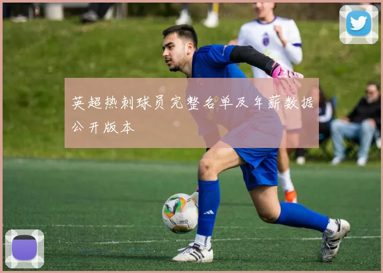 英超热刺球员完整名单及年薪数据公开版本