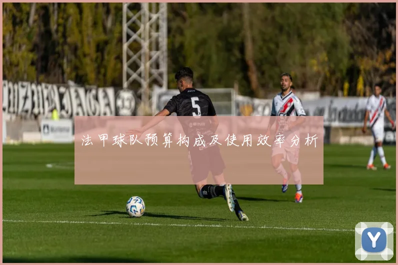 法甲球队预算构成及使用效率分析