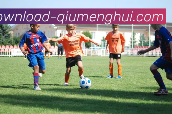 球盟会服务体系